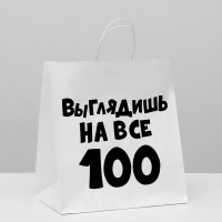 Пакет подарочный (31*19,5*34см), Выглядишь на все 100, 1 шт.
