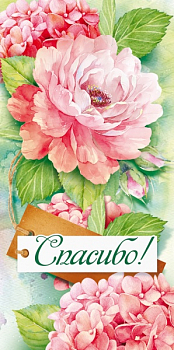 Конверт для денег (16*8см), Спасибо!, 1 шт.