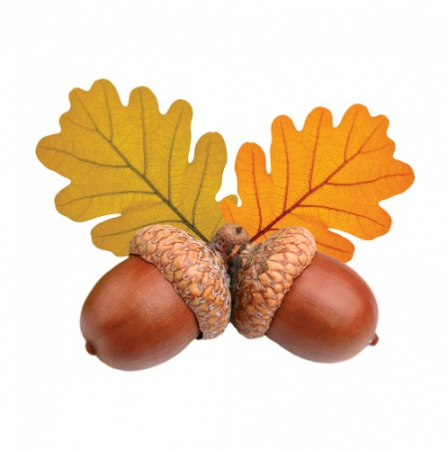 Элемент (10*10см), Желуди, 10 шт.
