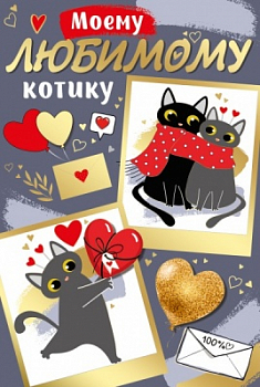 Открытка-отношение (12,2*18,2см), Моему любимому котику, 1 шт.