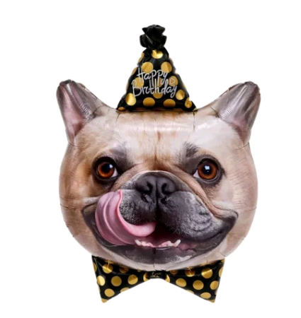 Шар (29''/74см) Фигура, Бульдог в колпачке, 1 шт.