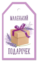 Бирка (5,5*6 см), "Маленький подарочек", 1 шт.