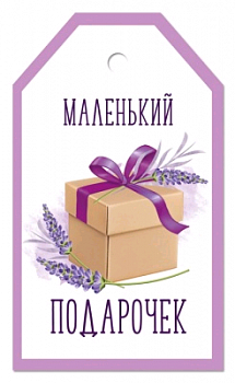 Бирка (5,5*6 см), "Маленький подарочек", 1 шт.