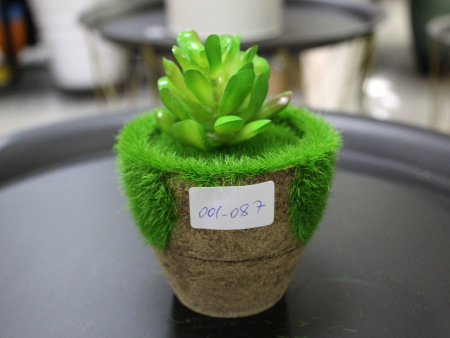 Суккулент искусственный в кашпо (13 см), 1 шт.