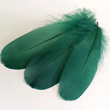 Перья Темно-зеленые, 100 шт. 