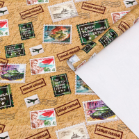 Бумага упаковочная глянцевая (70*100см), Посылка, 1 шт.