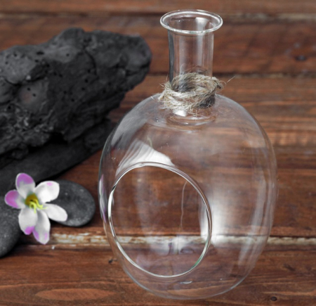 Флорариум (9*16см) Бутылка, 1 шт.