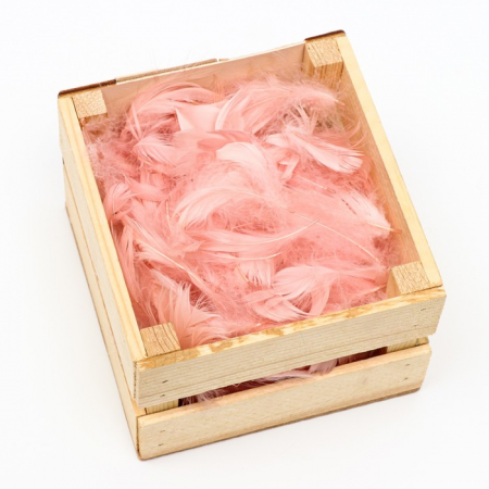 Перья, Пудровый, 50 шт.