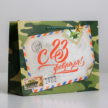 Пакет подарочный (23*18*8см), Письмо защитнику, 1 шт.