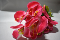 Букет (40 см) Орхидеи, МИКС, 1 шт.