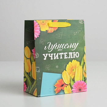 Пакет подарочный (18*23*10 см) Лучшему Учителю, 1 шт.