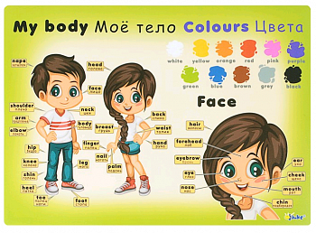 Накладка на стол пластик (А3), Обучающая, Английский язык, 1 шт.