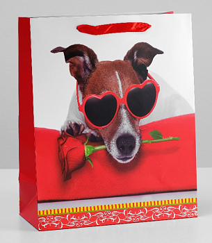 Пакет подарочный (26*32*12см), Собака в очках, 1 шт. 