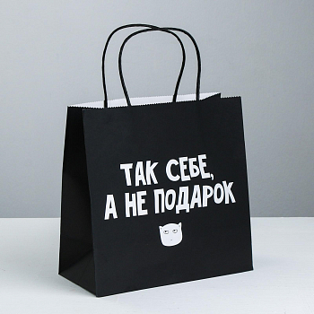 Пакет подарочный (22*22*11см), Так себе, а не подарок, 1 шт.