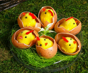 Сувенир пасхальный (4,5*14*14см), "Цыплята в яйце на травке" набор 6 шт, 1 уп.