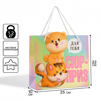 Пакет подарочный (25*26*10 см), «Сюрприз», 1 шт.