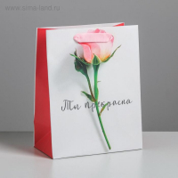 Пакет ламинированный вертикальный (18*23*10 см) Ты прекрасна, 1шт.