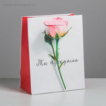 Пакет ламинированный вертикальный (18*23*10 см) Ты прекрасна, 1шт.