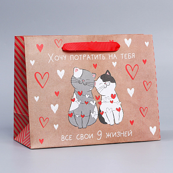 Пакет подарочный (18*23*8см), Потрачу девять жизней, крафт, 1 шт.
