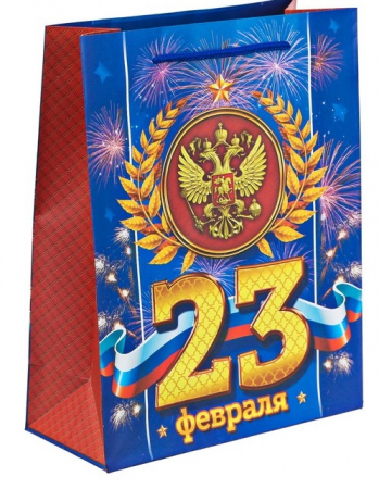 Пакет подарочный (18*23*8см), Праздник настоящего мужества, 1 шт.
