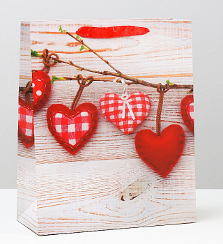 Пакет подарояный (26*32*12см), Плюшевые сердца, 1 шт.
