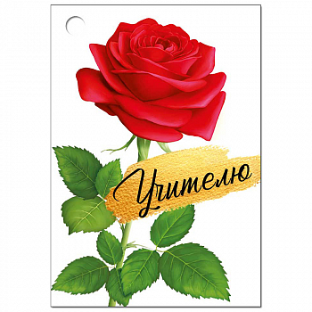 Мини-открытка-бирка (55*79мм), Учителю, 1 шт. 