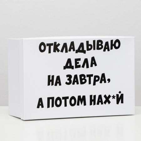 Подарочная коробка (30,5*20*13см), На завтра, 1 шт.
