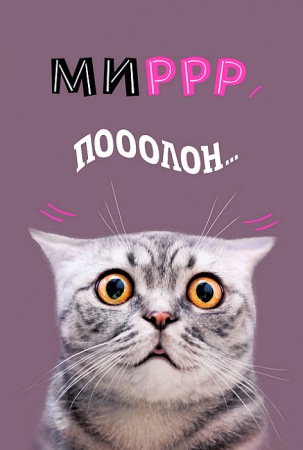 Открытка (12,2*18,2 см), "Мирр полон...." (котик), 1 шт.