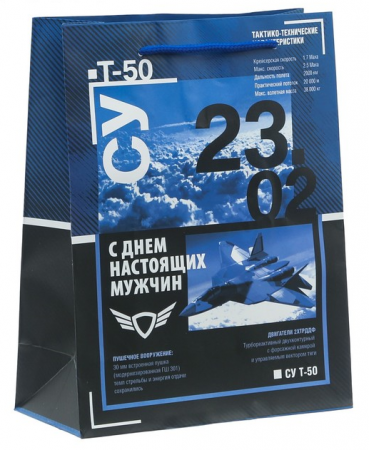 Пакет подарочный (18*23*8см), Первым делом самолеты, 1 шт.