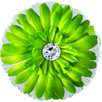 Шар (18''/46см) Круг, Гербера, Зеленый, 1 шт. Уценка