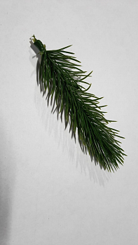 Веточка еловая маленькая, 1 шт.