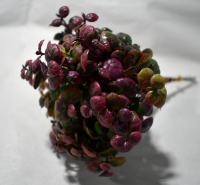 Кустик (23 см) Эвкалипт с напылением, Пластм., 1 шт.