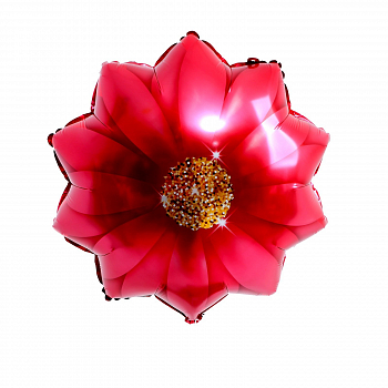 Шар (24"/61см) Фигура, Красная гербера, 1 шт. Шар (24"/61см) Фигура, Красная гербера, 1 шт.