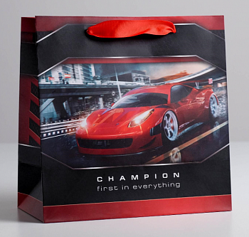 Пакет подарочный (22*22*11см), Champion, 1 шт.