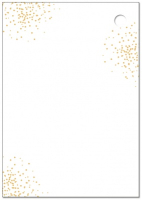 Бирка (5,5*7,9 см), "С Днем рождения!", 1 шт.